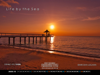 リンクからダウンロード頂けます。 デスクトップカレンダーアイコン